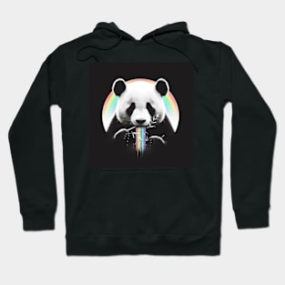 Monochromatic Panda Bear Within Rainbow Colors Hoodie